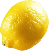 fruit