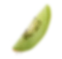 fruit