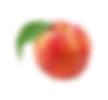 fruit