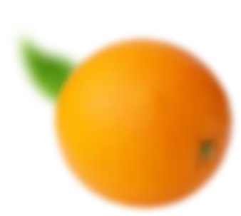 fruit
