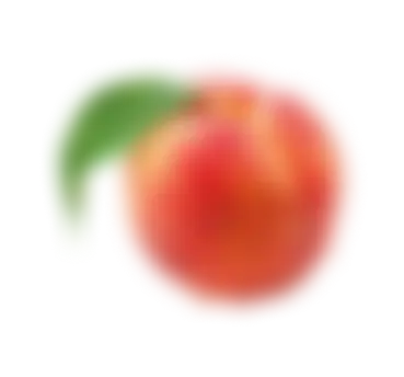 fruit