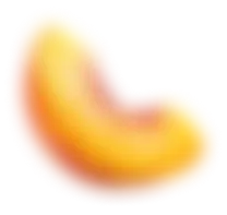 fruit