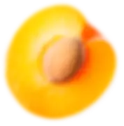 fruit