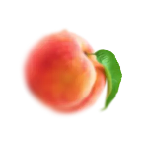 fruit