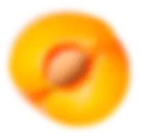 fruit