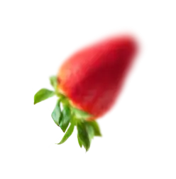 fruit