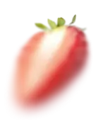 fruit