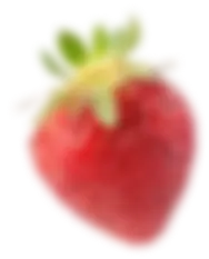 fruit